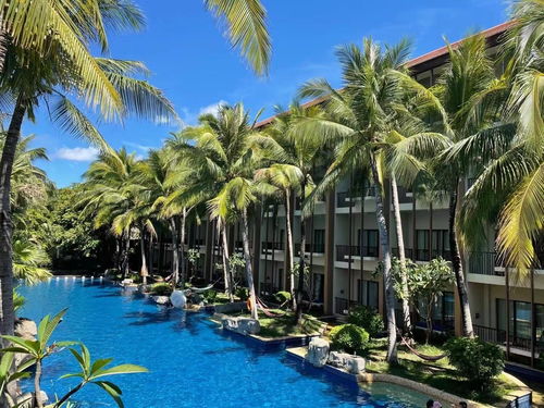 疫情2年后 旅游從業者過的如何