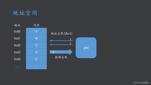 AMRT體系結構與接口技術 計算機軟硬件協同開發的理論基石