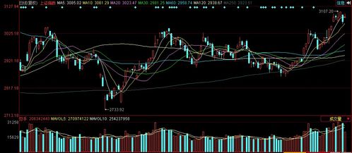 中孚信息引領漲停潮 中國軟件板塊走強背后的邏輯與機遇